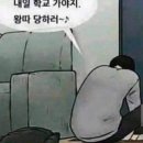 야무진태권도 | 걍어케든살아간다퓌발