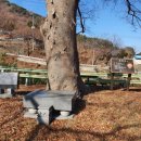 송선2리 이미지