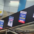 수영생명선의원 네이버블로그