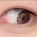 보보스안경콘텍트 | 위드렌즈 시그니처 렌즈 뉴트럴무드 브라운 컬러 솔직 리뷰 후기