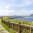 상모리-9 이미지