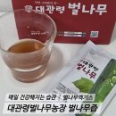 개운좋은농장 | 바쁜현대인의 건강습관, 대관령벌나무농장 벌나무즙 후기