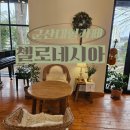 [군산대형카페 첼로네시아]포근한 감성 카페 후기