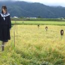 허수아비 이미지