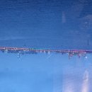 포항송도해수욕장전망대 이미지