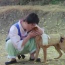 맹구와 땡칠이 이미지