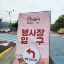 동강물소리 | 제59회 영월 단종문화제: 동강 둔치에 흐르는 왕의 서사와 축제의 노래
