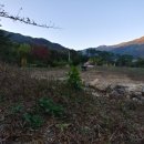 숲속 게르 하우스 이미지