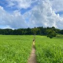 케이목장 이미지