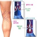 허브약국 네이버블로그