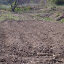 사기소리 이미지