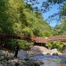 칠선농장 이미지