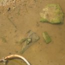 구이 사랑채 이미지