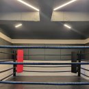 성남 탑 복싱 이미지