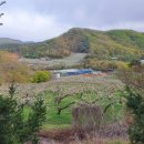 꽃이야 나무야 파주 이미지