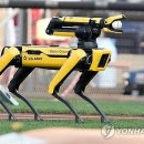 한동카써비스 이미지