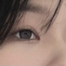 효효뷰티