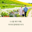 위미가 연 | 5~6월 제주 여행지 추천과 서귀포 뽀로로테마파크, 진짜 갈만한 곳일까?
