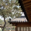 산죽칼국수 이미지