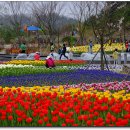 (주)꽃랜드 이미지