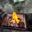 도그애견 이미지