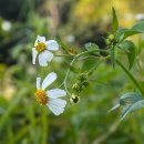 새삶스럽게 이미지