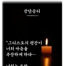 샬롬 Daum카페