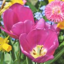 강촌민박 이미지