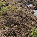 노두농장 이미지