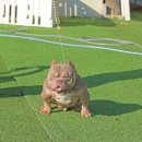 맥스켄넬 이미지