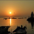 일기일회 이미지