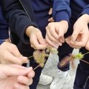 남춘천여자중학교 이미지