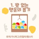 버니키스