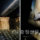 송기 이미지