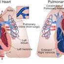 24시 동탄윌 동물의료센터 이미지