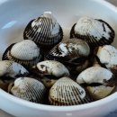 대대선창집 이미지