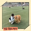 전망좋은 키즈풀빌라 펜션 | 경주 가족 연인 친구랑 함께 가기 좋은 족구장 수영장 키즈존 있는 청담풀빌라 펜션 후기