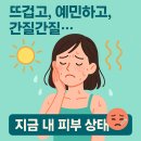예민 피부, 트리플 슈퍼 리페어 하나로 ‘피부 장벽 슈퍼 회복’!여름피부장벽, 가쉬트러플슈퍼리페어 후기