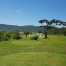 숲속당구클럽 | 베트남달랏골프 달랏 1200 골프 클럽 라운딩과 캄란에서 달랏까지 이동 후기