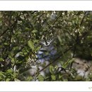 상걸보건진료소 이미지