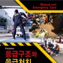 돼지날다