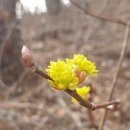 봄날세탁 이미지