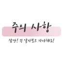 슈기몰