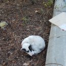 두산3리 이미지