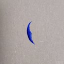 2666 | 2666, 로베르토 볼라뇨, 5권 후기 (스포주의)