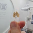 클로버치과의원 이미지