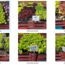 서수원농자재마트 이미지