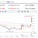 엘앤케이웰니스