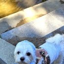 구자동 동물병원 이미지