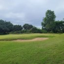 로얄세탁 이미지